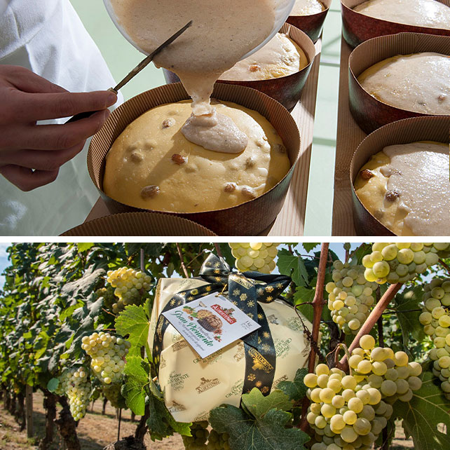 Panettone_Al_Moscato- Panettone Al Moscato